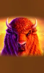 Buffalo 50