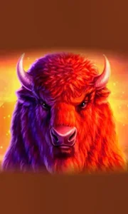 Buffalo 50